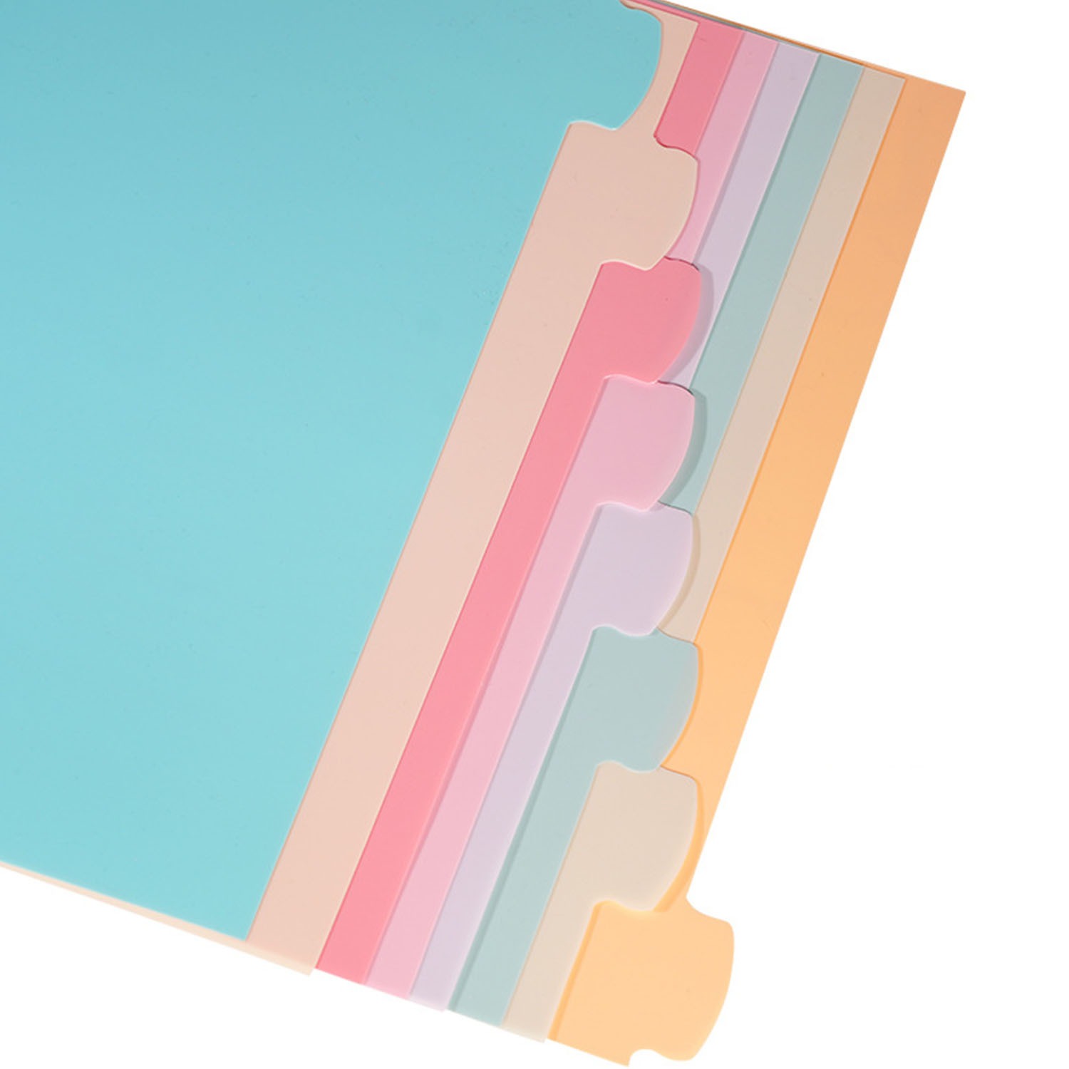 8 Registerblätter für 3-Ring-O – Index Tab Divider Bewertung und Preis